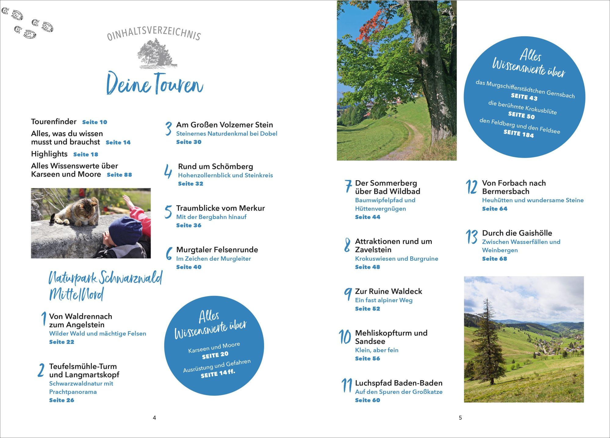 Bild: 9783862468805 | Wanderparadies Schwarzwald | Dieter Buck (u. a.) | Taschenbuch | 2025