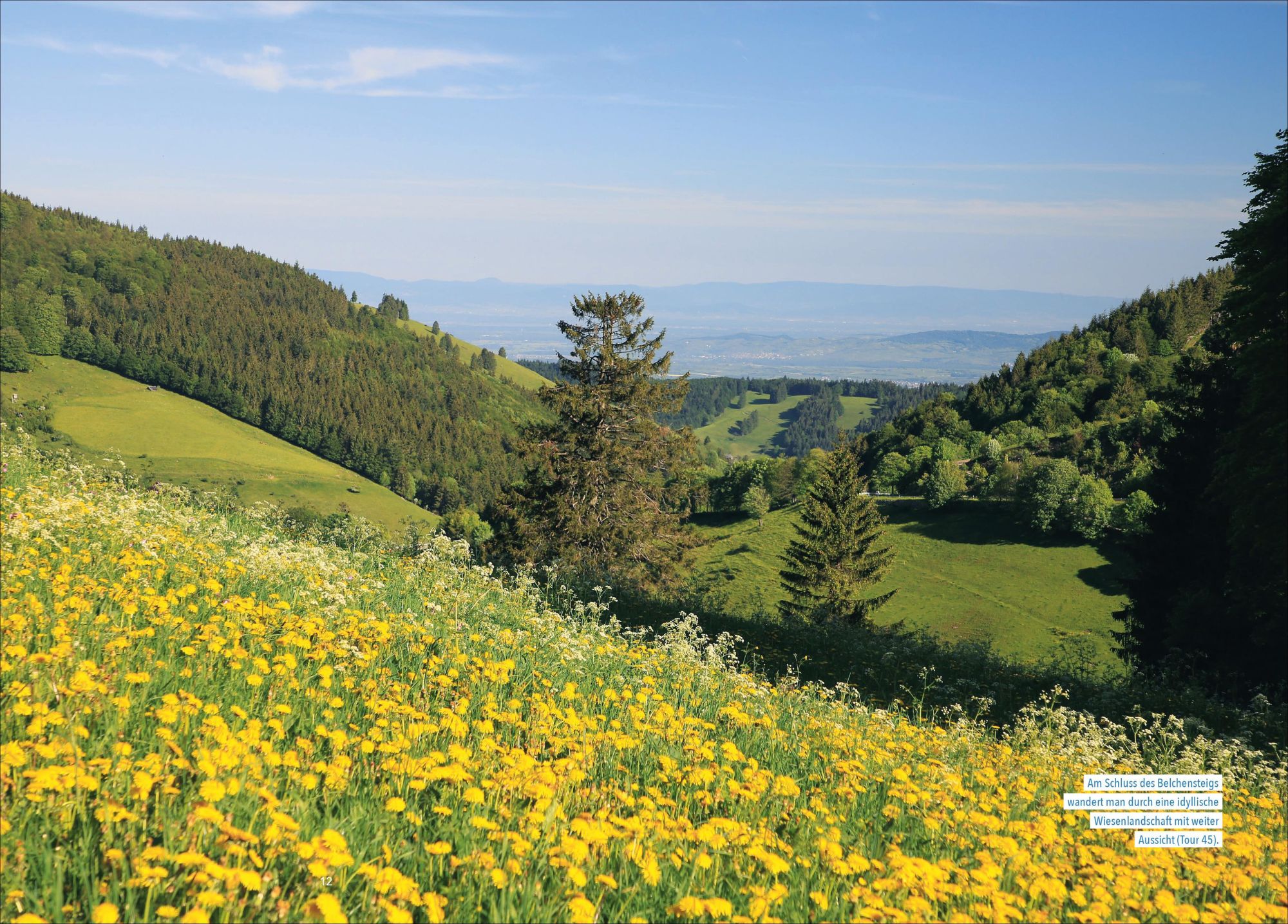 Bild: 9783862468805 | Wanderparadies Schwarzwald | Dieter Buck (u. a.) | Taschenbuch | 2025