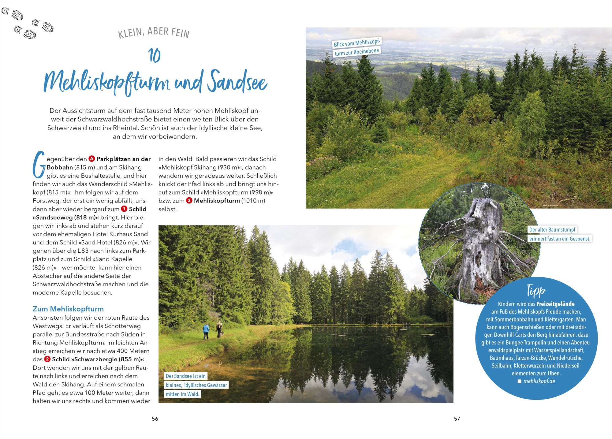 Bild: 9783862468805 | Wanderparadies Schwarzwald | Dieter Buck (u. a.) | Taschenbuch | 2025