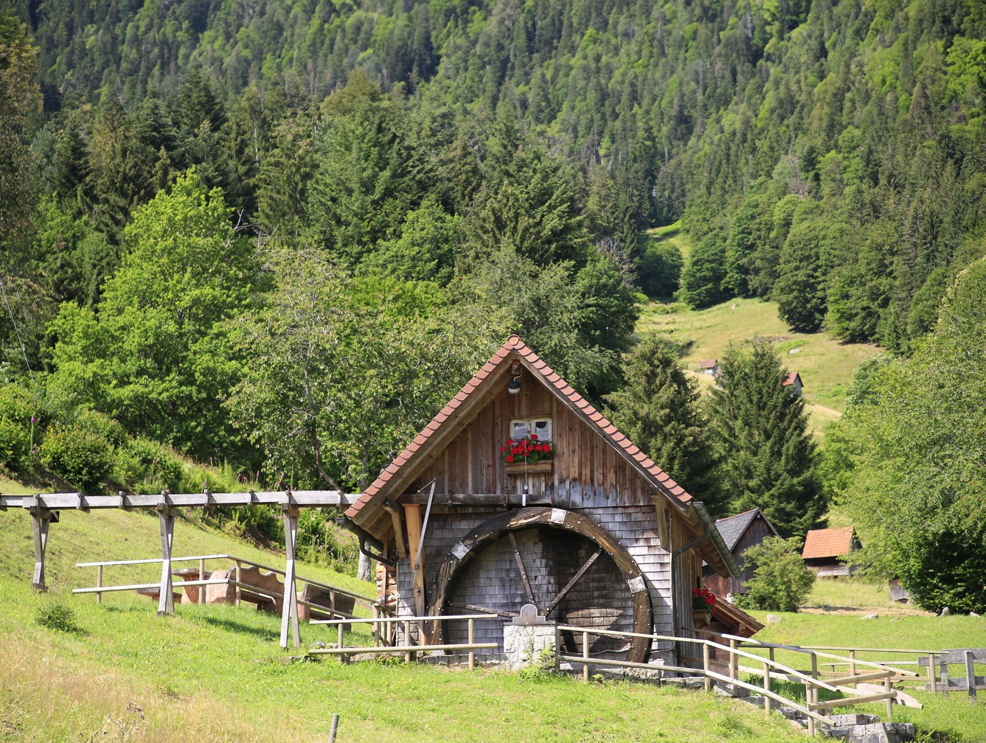 Bild: 9783862468805 | Wanderparadies Schwarzwald | Dieter Buck (u. a.) | Taschenbuch | 2025