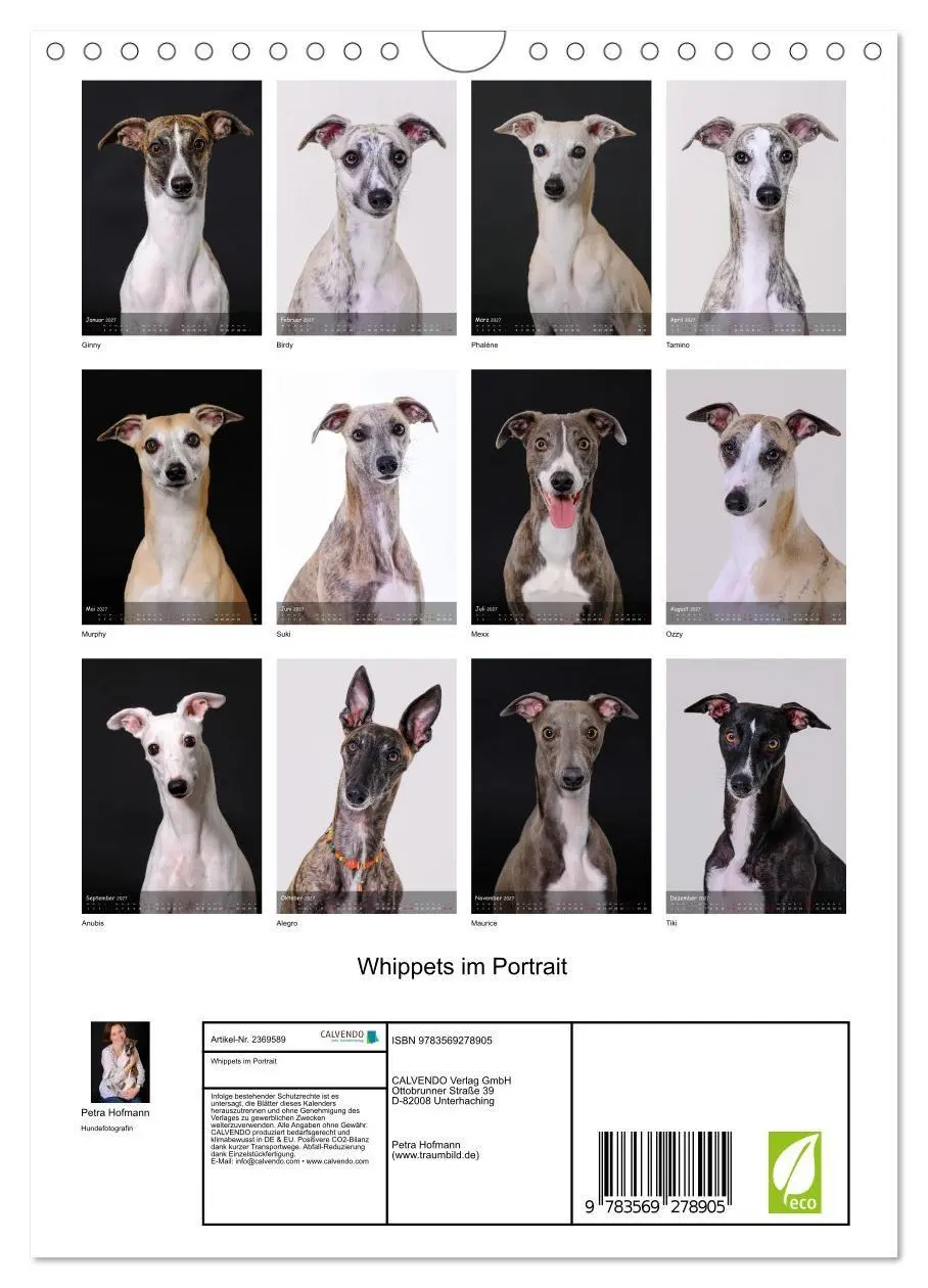 Bild: 9783569278905 | Whippets im Portrait (Wandkalender 2027 DIN A4 hoch), CALVENDO...