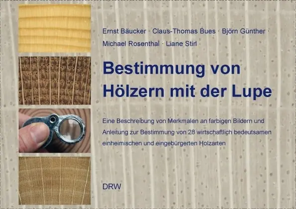 Cover: 9783871818905 | Bestimmung von Hölzern mit der Lupe | Bäucker | Taschenbuch | 64 S.