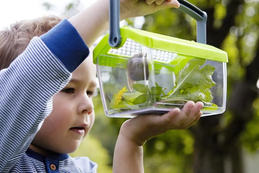 Bild: 4010168209005 | Insektenbox | Terra Kids | 1301513001 | Deutsch | 2019