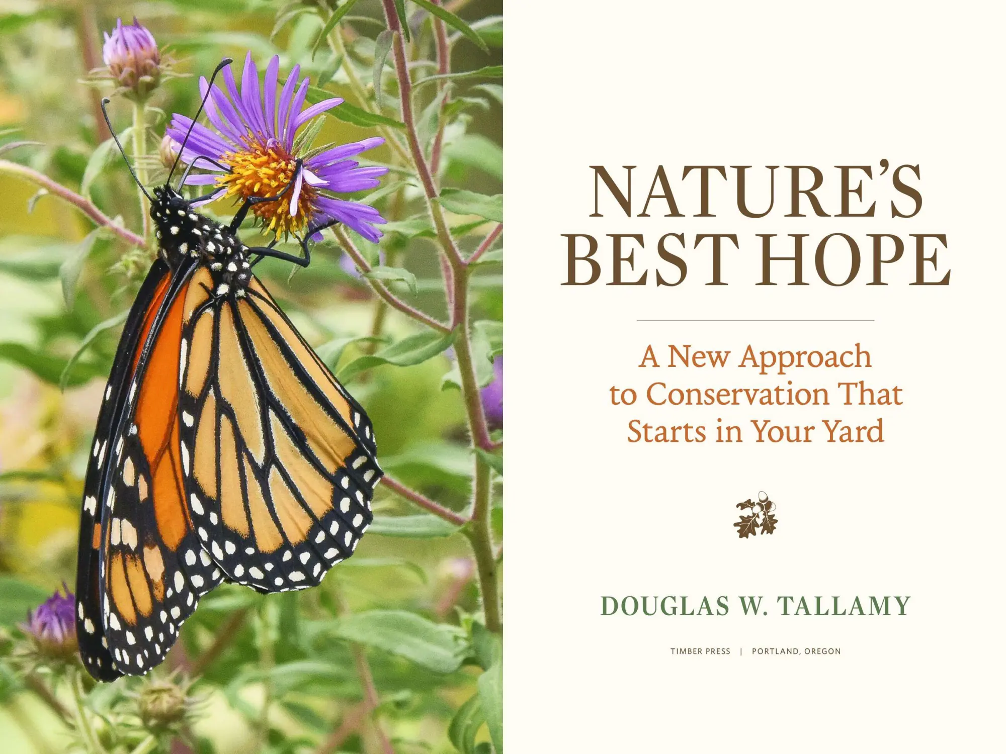 Bild: 9781604699005 | Nature's Best Hope | Douglas W Tallamy | Buch | Gebunden | 2020