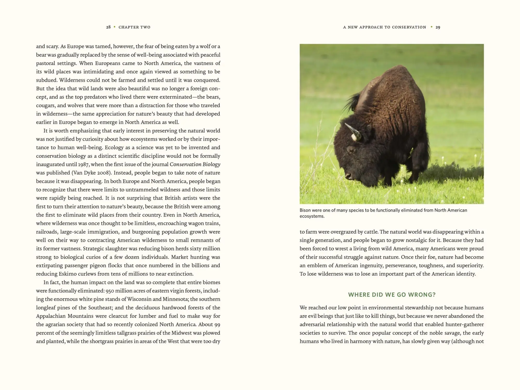Bild: 9781604699005 | Nature's Best Hope | Douglas W Tallamy | Buch | Gebunden | 2020
