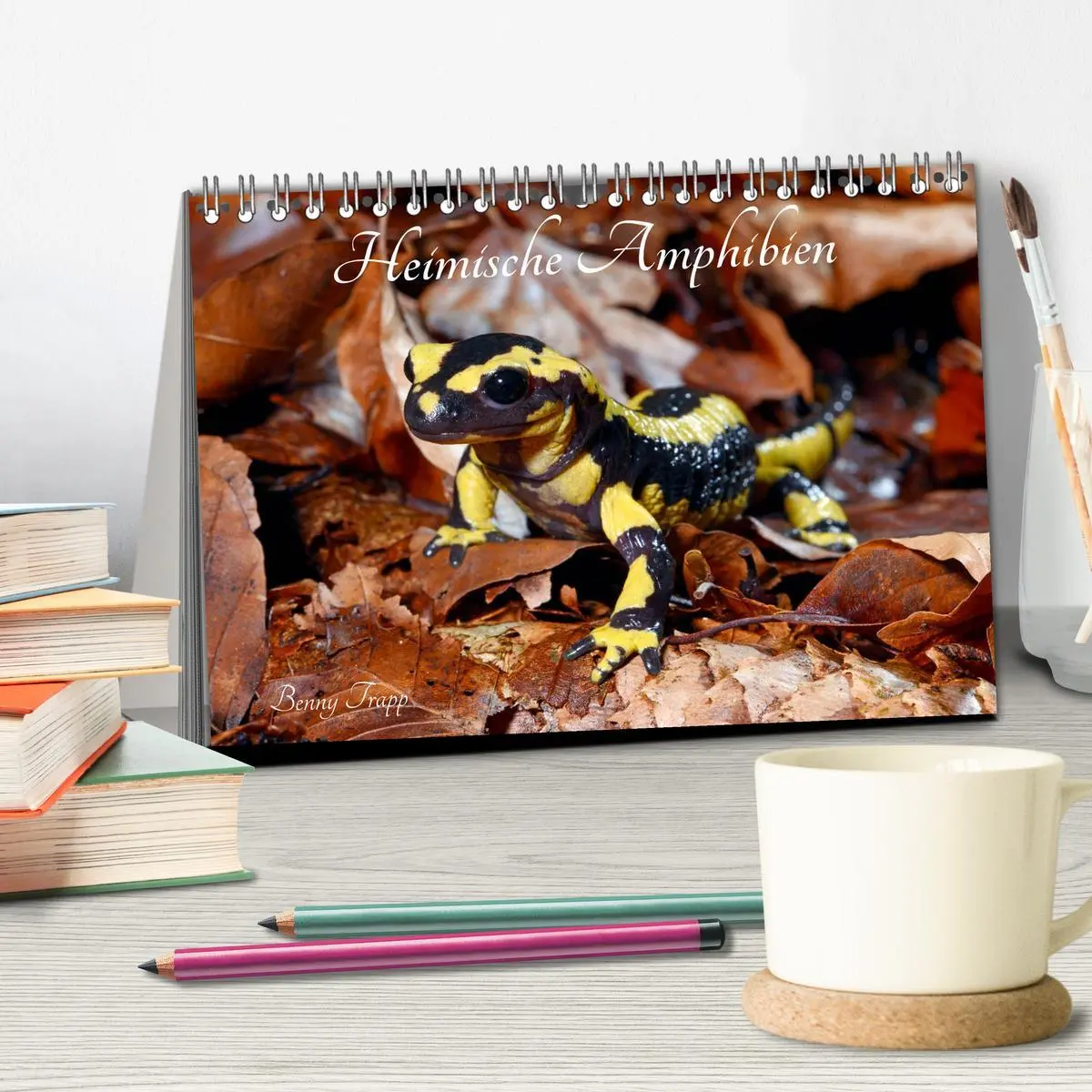 Bild: 9783457749005 | Heimische Amphibien (Tischkalender 2026 DIN A5 quer), CALVENDO...