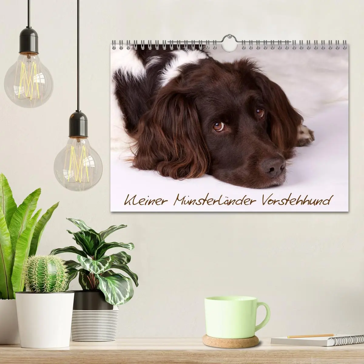 Bild: 9783516079005 | Kleiner Münsterländer Vorstehhund (Wandkalender 2026 DIN A4 quer),...