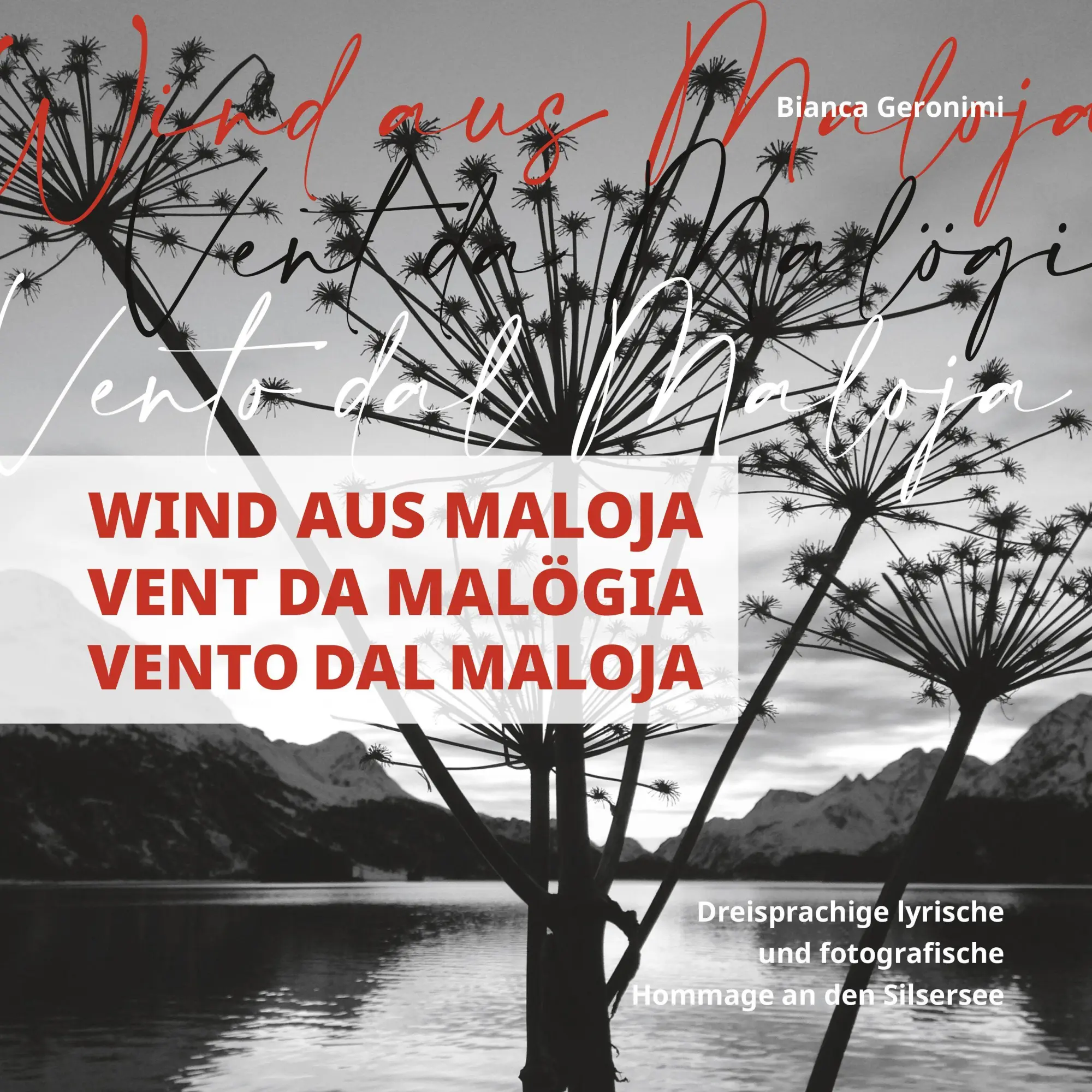 Cover: 9783907679005 | Wind aus Maloja, Vent da Malögia, Vento dal Maloja | Bianca Geronimi