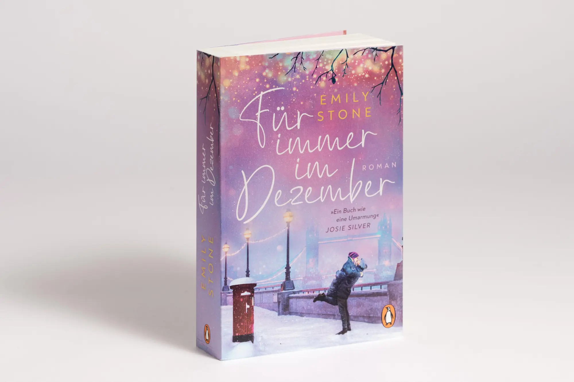 Bild: 9783328109105 | Für immer im Dezember | Emily Stone | Taschenbuch | 464 S. | Deutsch