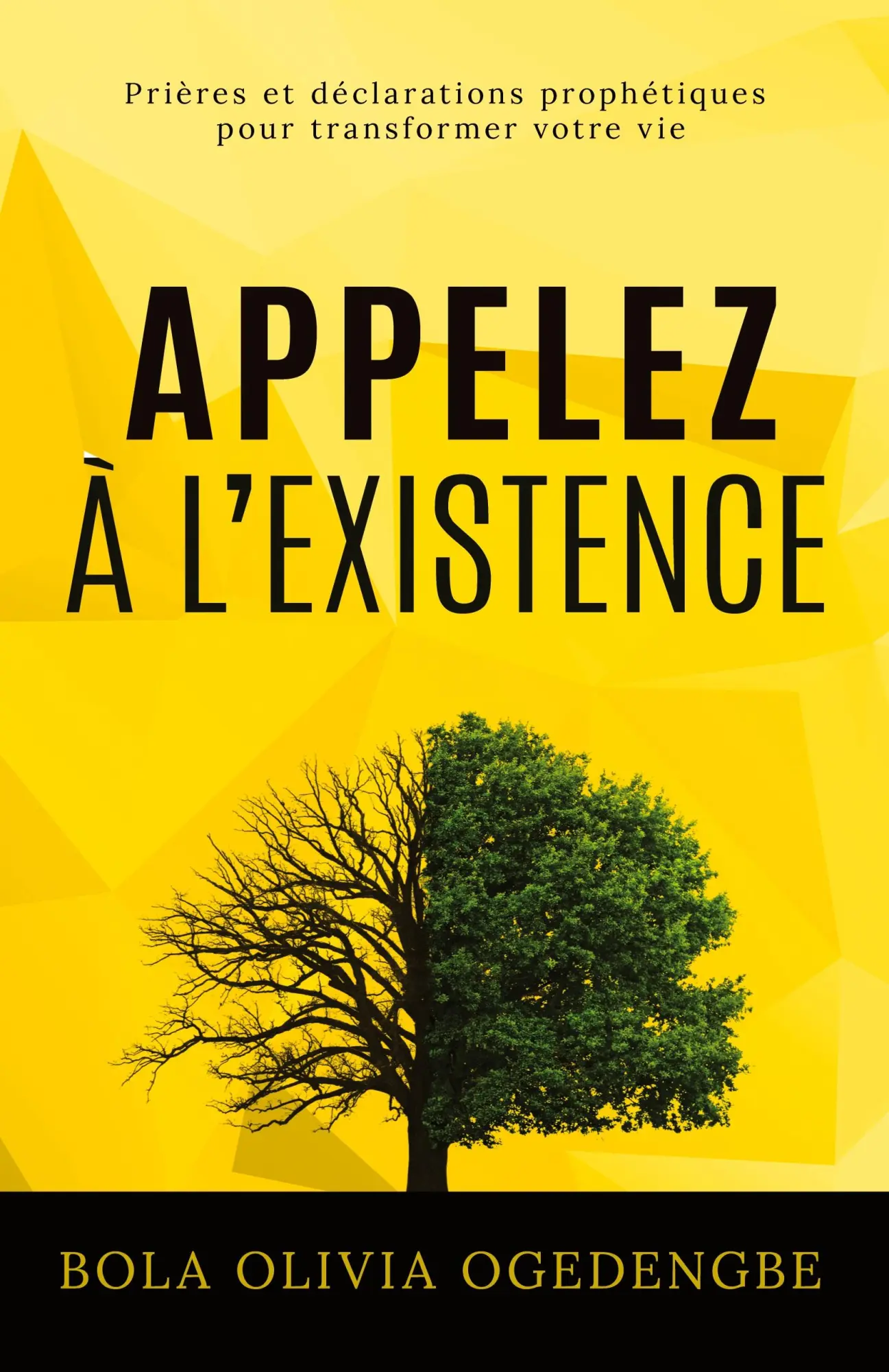 Cover: 9791095039105 | Appelez à l'Existence | Bola Olivia Ogedengbe | Taschenbuch | 2019