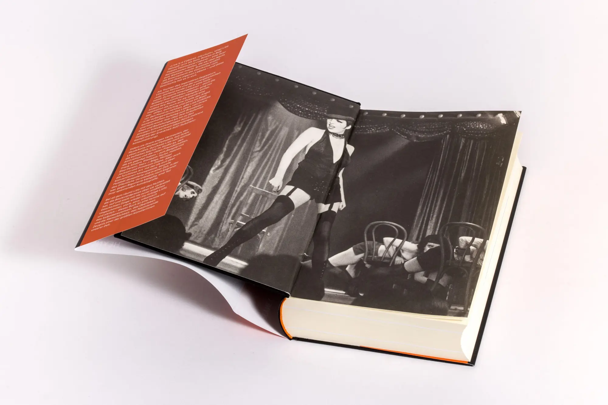 Bild: 9783453219205 | Liza - Kids, Wait Till You Hear This! | Liza Minnelli (u. a.) | Buch