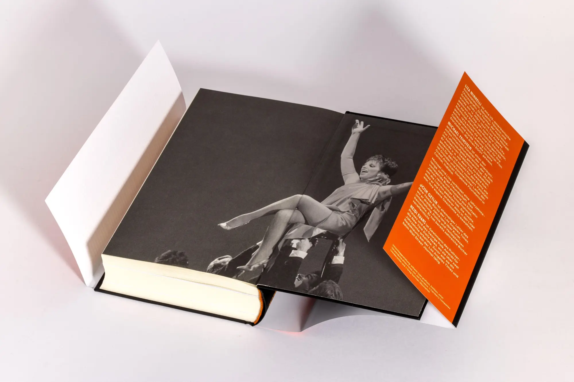 Bild: 9783453219205 | Liza - Kids, Wait Till You Hear This! | Liza Minnelli (u. a.) | Buch