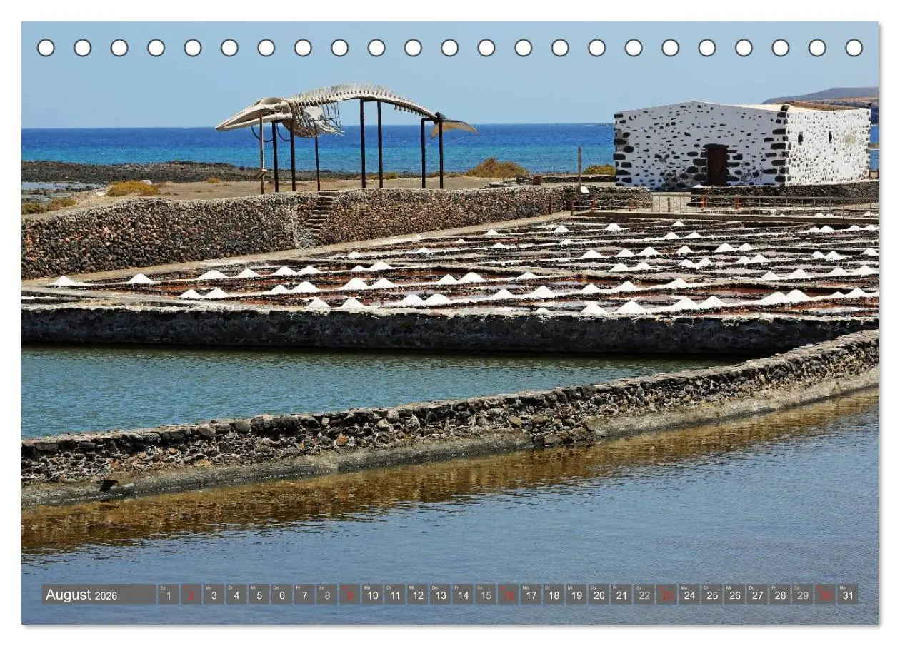 Bild: 9783516129205 | Urlaub auf Fuerteventura (Tischkalender 2026 DIN A5 quer), CALVENDO...
