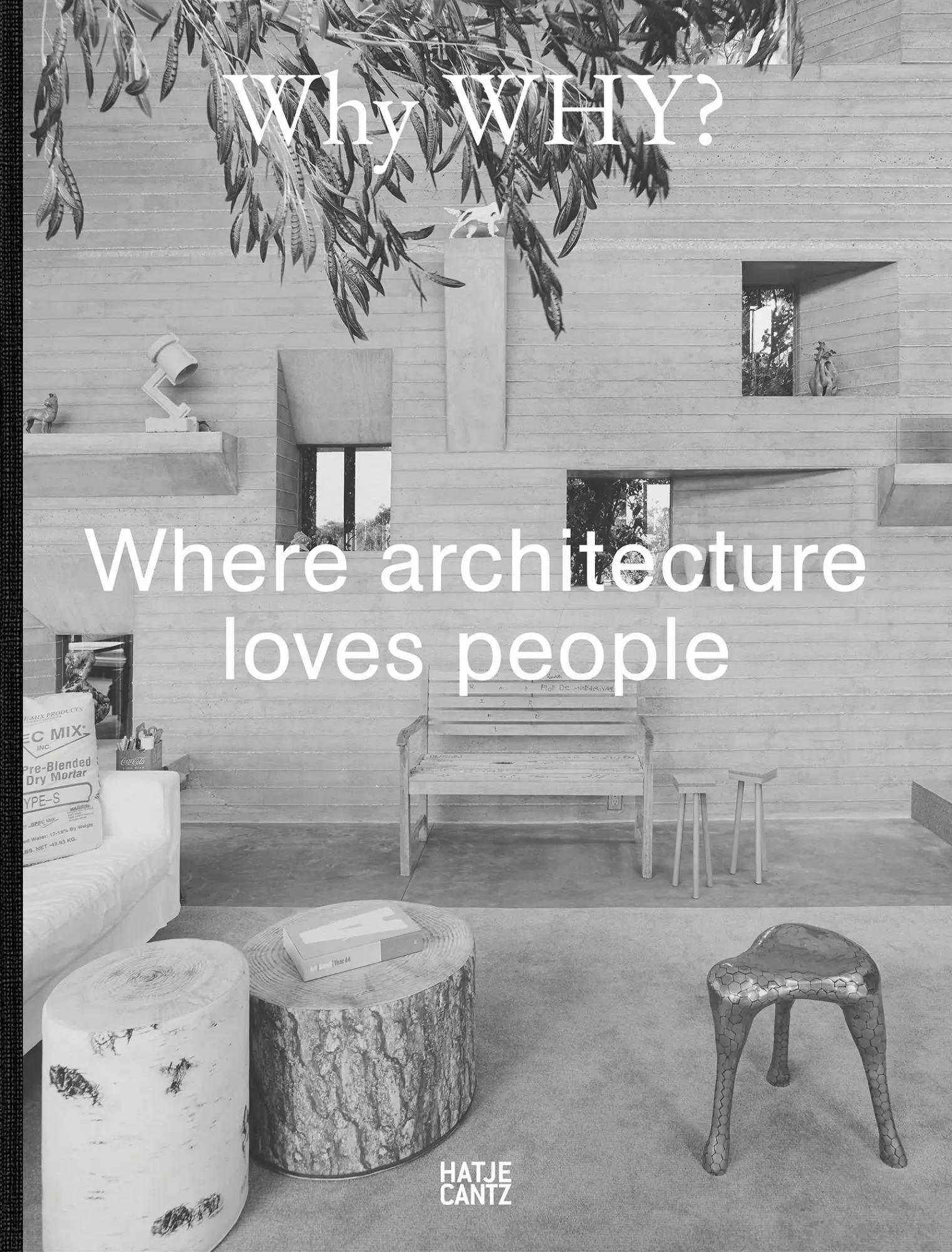 Cover: 9783775759205 | Why WHY? | Where architecture loves people | Kulapat Yantrasast | Buch
