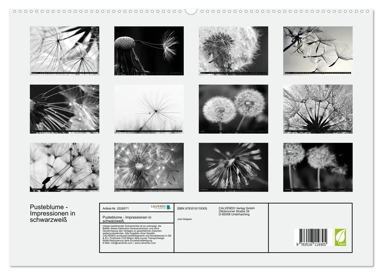 Bild: 9783516119305 | Pusteblume - Impressionen in schwarzweiß (hochwertiger Premium...