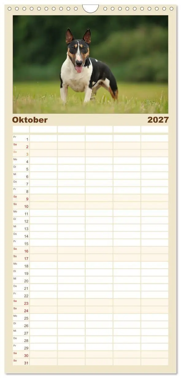 Bild: 9783594339305 | Familienplaner 2027 - Bullterrier? Was sonst! mit 5 Spalten...