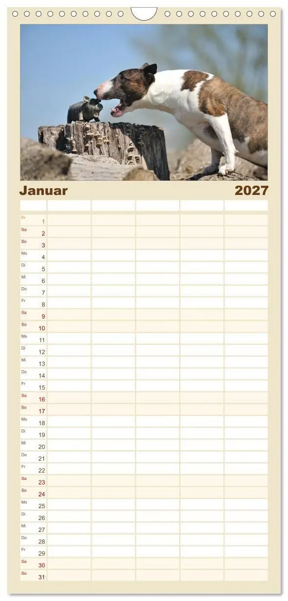 Bild: 9783594339305 | Familienplaner 2027 - Bullterrier? Was sonst! mit 5 Spalten...