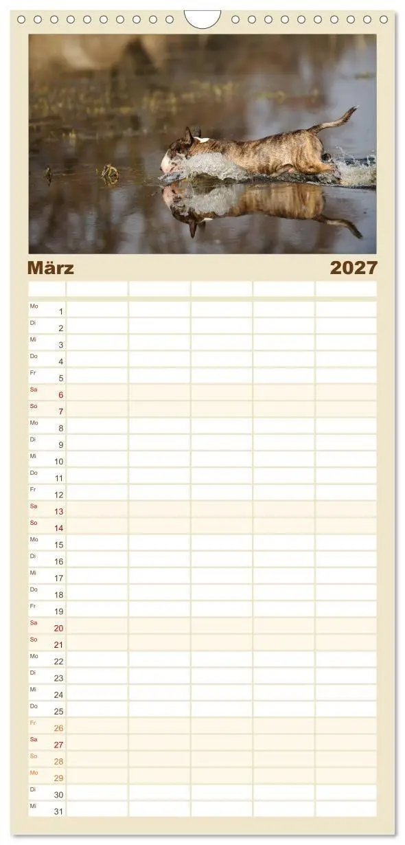 Bild: 9783594339305 | Familienplaner 2027 - Bullterrier? Was sonst! mit 5 Spalten...