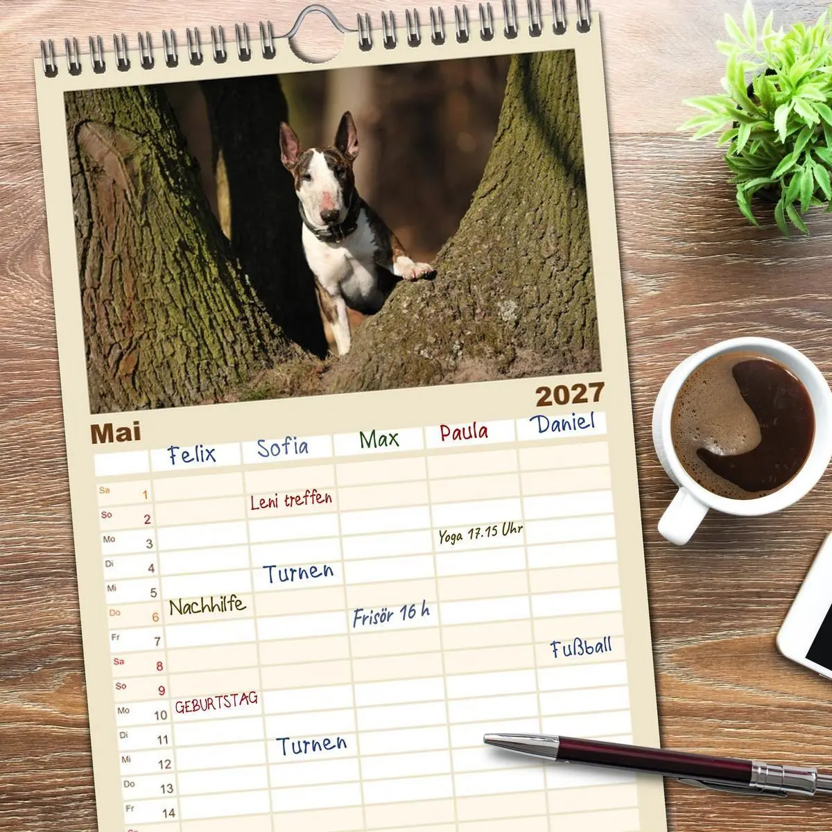 Bild: 9783594339305 | Familienplaner 2027 - Bullterrier? Was sonst! mit 5 Spalten...
