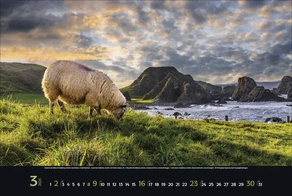 Bild: 9783731879305 | Nordische Impressionen 2025 | Korsch Verlag | Kalender | Spiralbindung