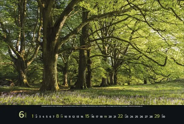 Bild: 9783731879305 | Nordische Impressionen 2025 | Korsch Verlag | Kalender | Spiralbindung