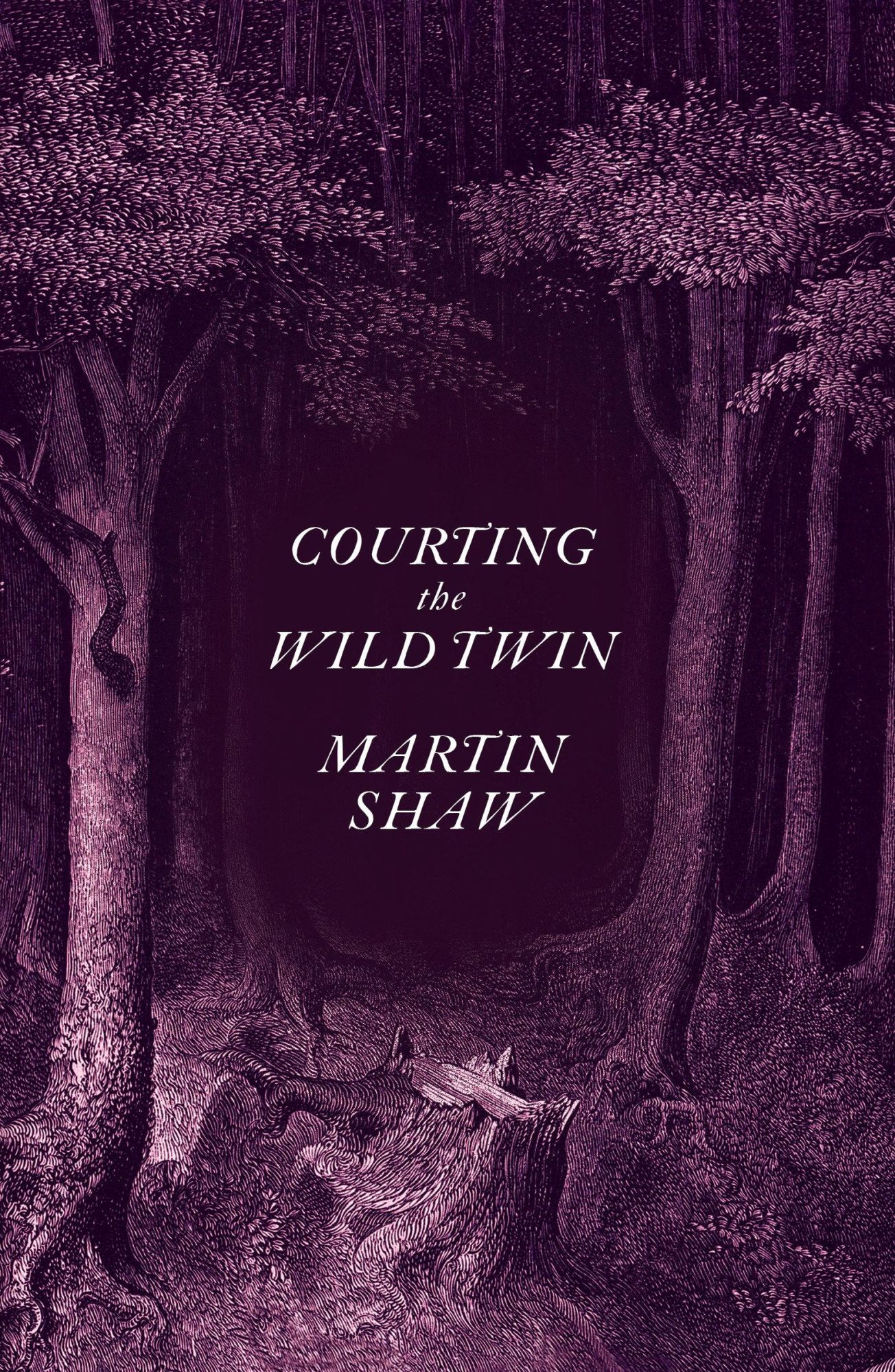 Cover: 9781603589505 | Courting the Wild Twin | Martin Shaw | Buch | Gebunden | Englisch