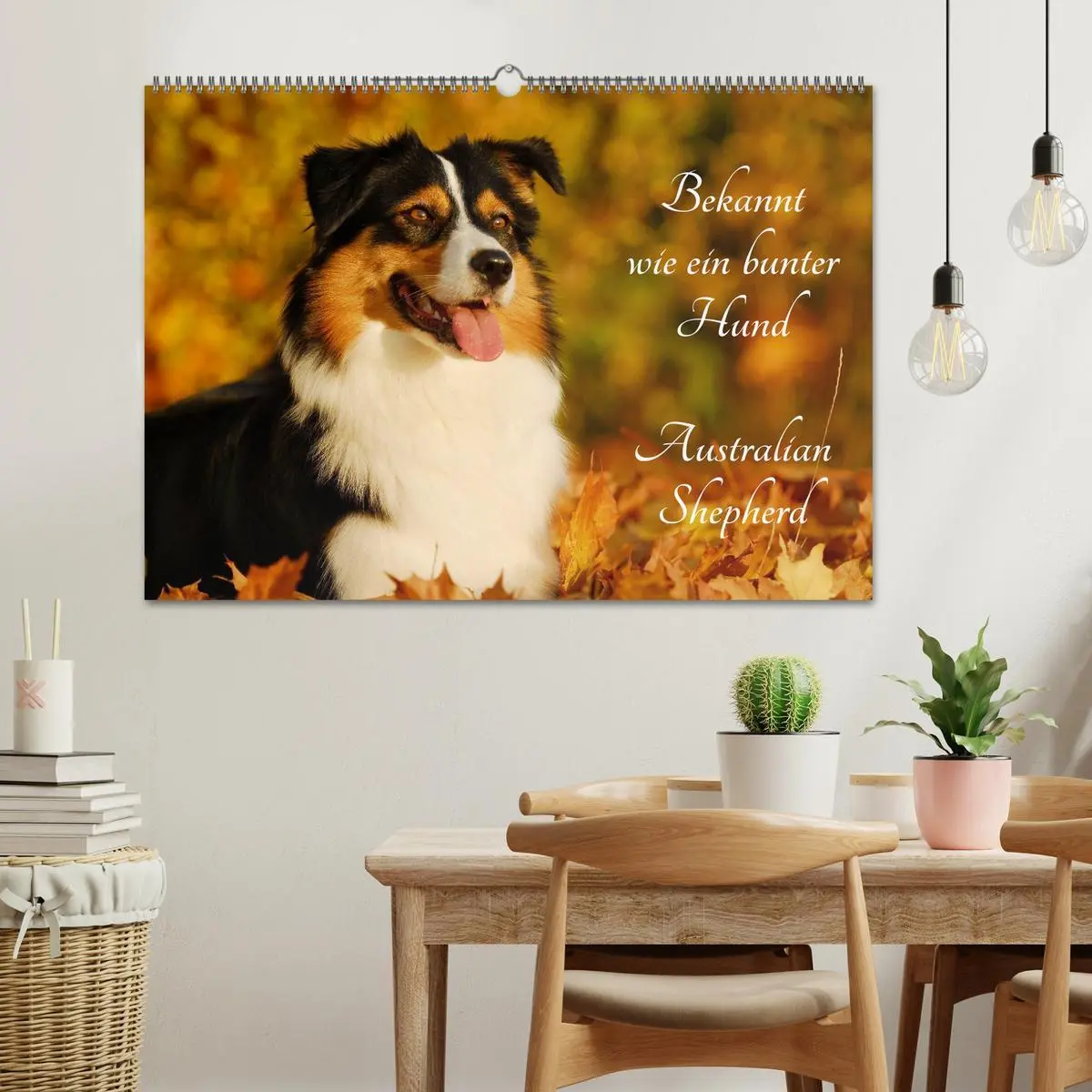 Bild: 9783516029505 | Bekannt wie ein bunter Hund. Australian Shepherd (Wandkalender 2026...