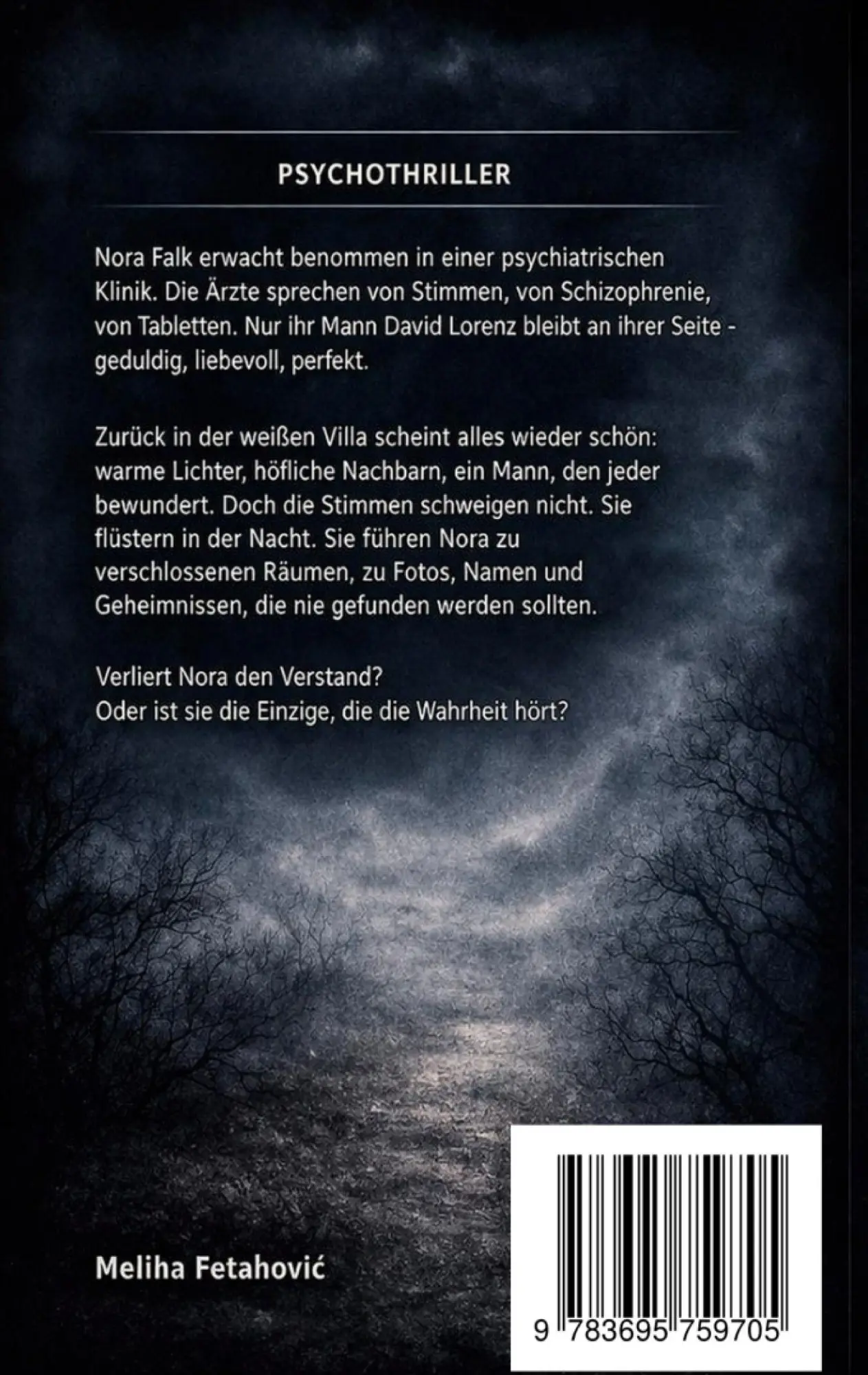 Rückseite: 9783695759705 | Die Stimmen hinter der Wand | Meliha Fetahovic | Taschenbuch | 114 S.