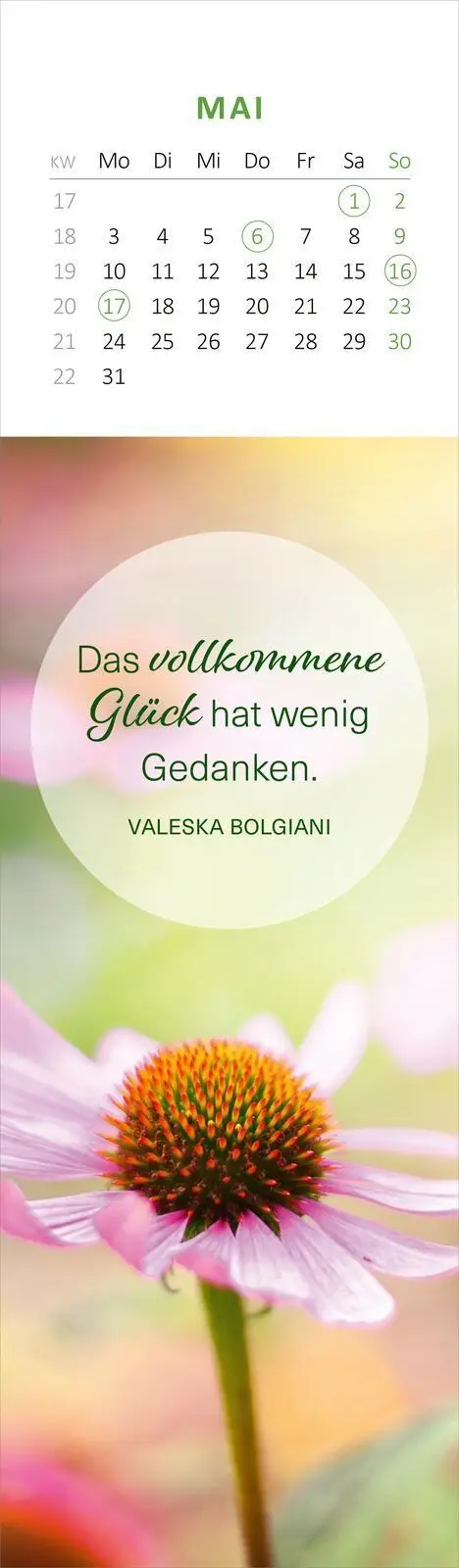 Bild: 4014489139805 | Lesezeichenkalender Glücksmomente für die Seele 2027 | Kalender | 2027