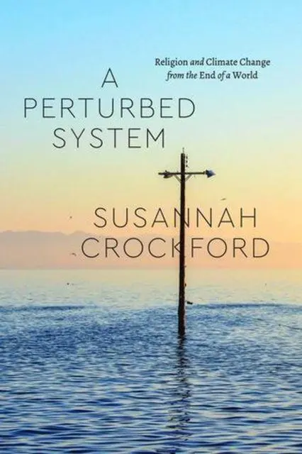Cover: 9780226849805 | A Perturbed System | Susannah Crockford | Taschenbuch | Englisch