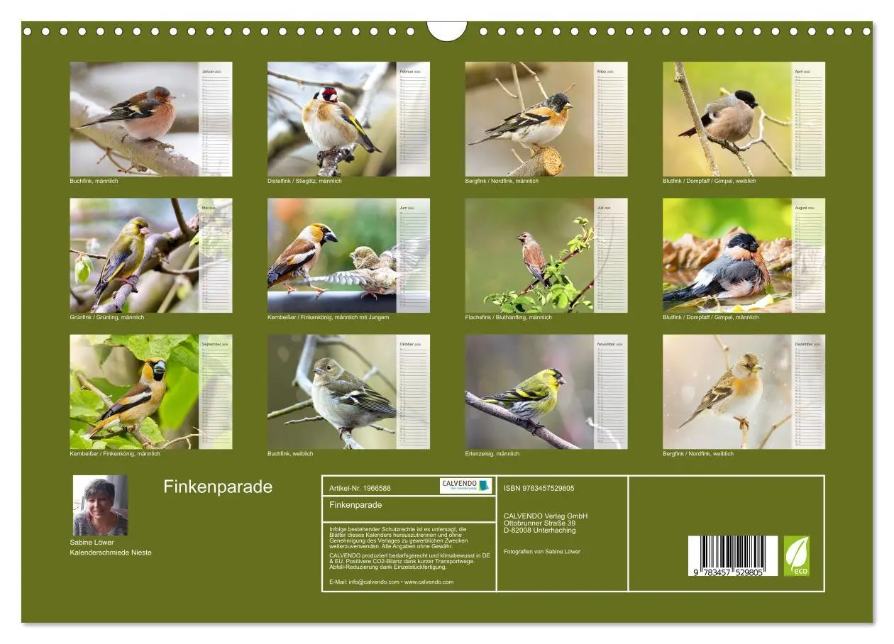 Bild: 9783457529805 | Finkenparade (Wandkalender 2026 DIN A3 quer), CALVENDO Monatskalender