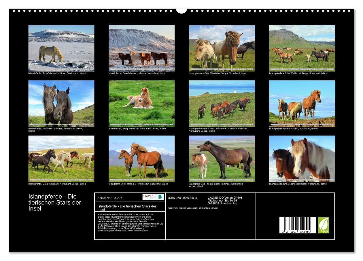 Bild: 9783457699805 | Islandpferde - Die tierischen Stars der Insel (hochwertiger Premium...