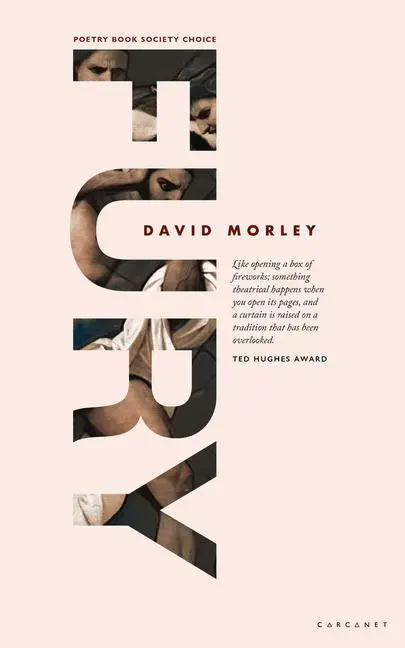Cover: 9781784109905 | FURY | David Morley | Taschenbuch | Kartoniert / Broschiert | Englisch