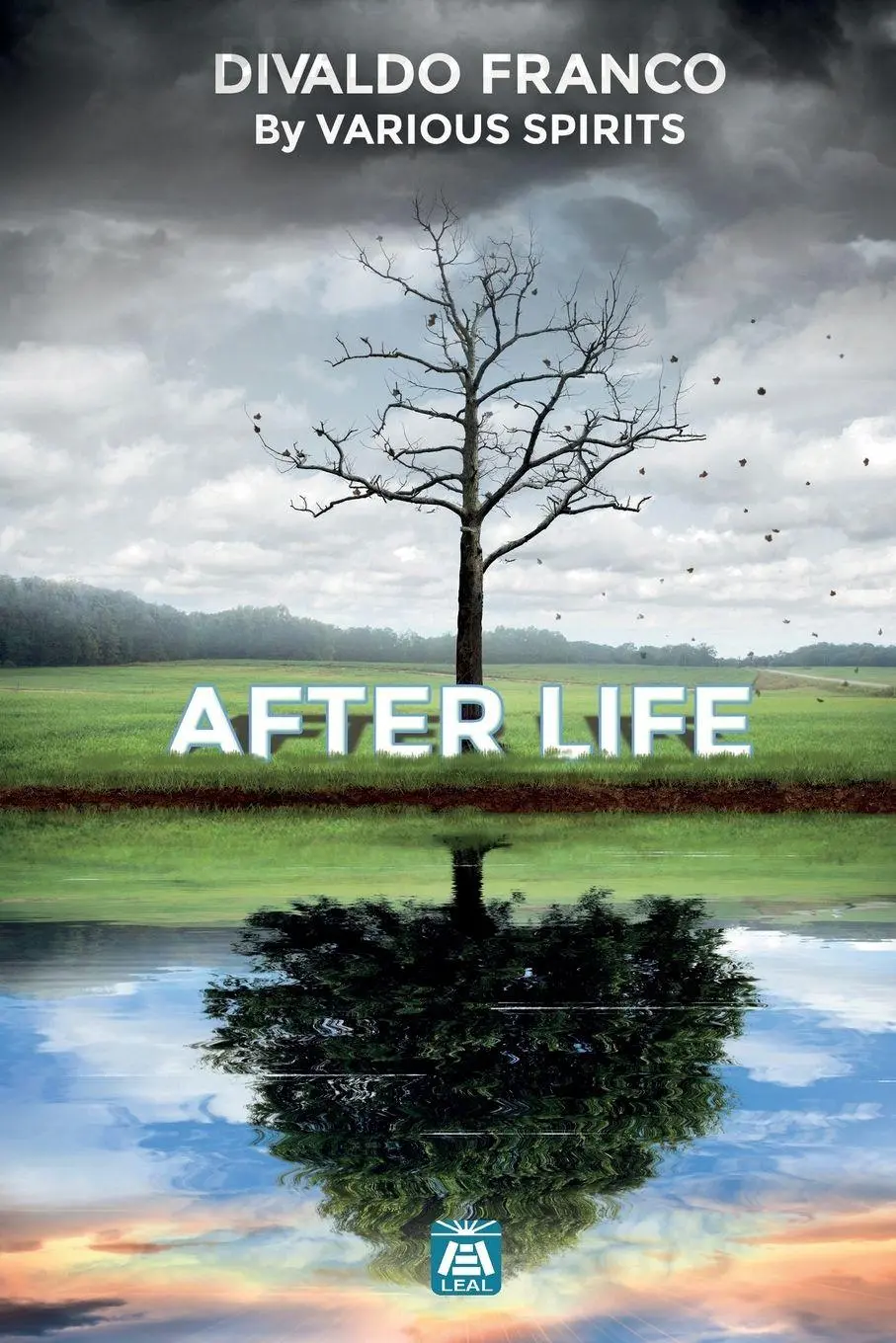 Cover: 9781947179905 | After Life | Divaldo Pereira Franco | Taschenbuch | Englisch | 2020