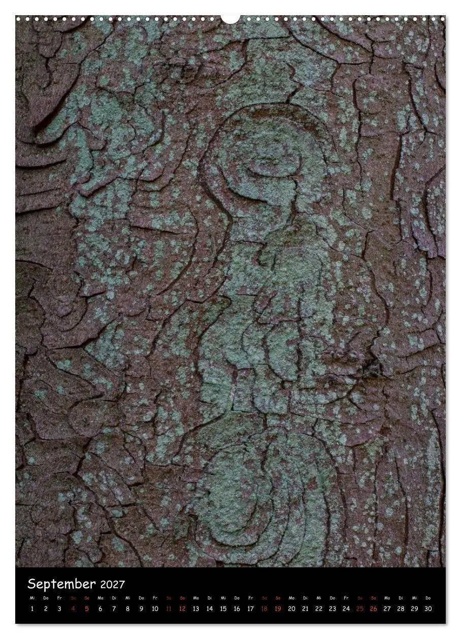 Bild: 9783594139905 | Baumrinde 2027 (hochwertiger Premium Wandkalender 2027 DIN A2...
