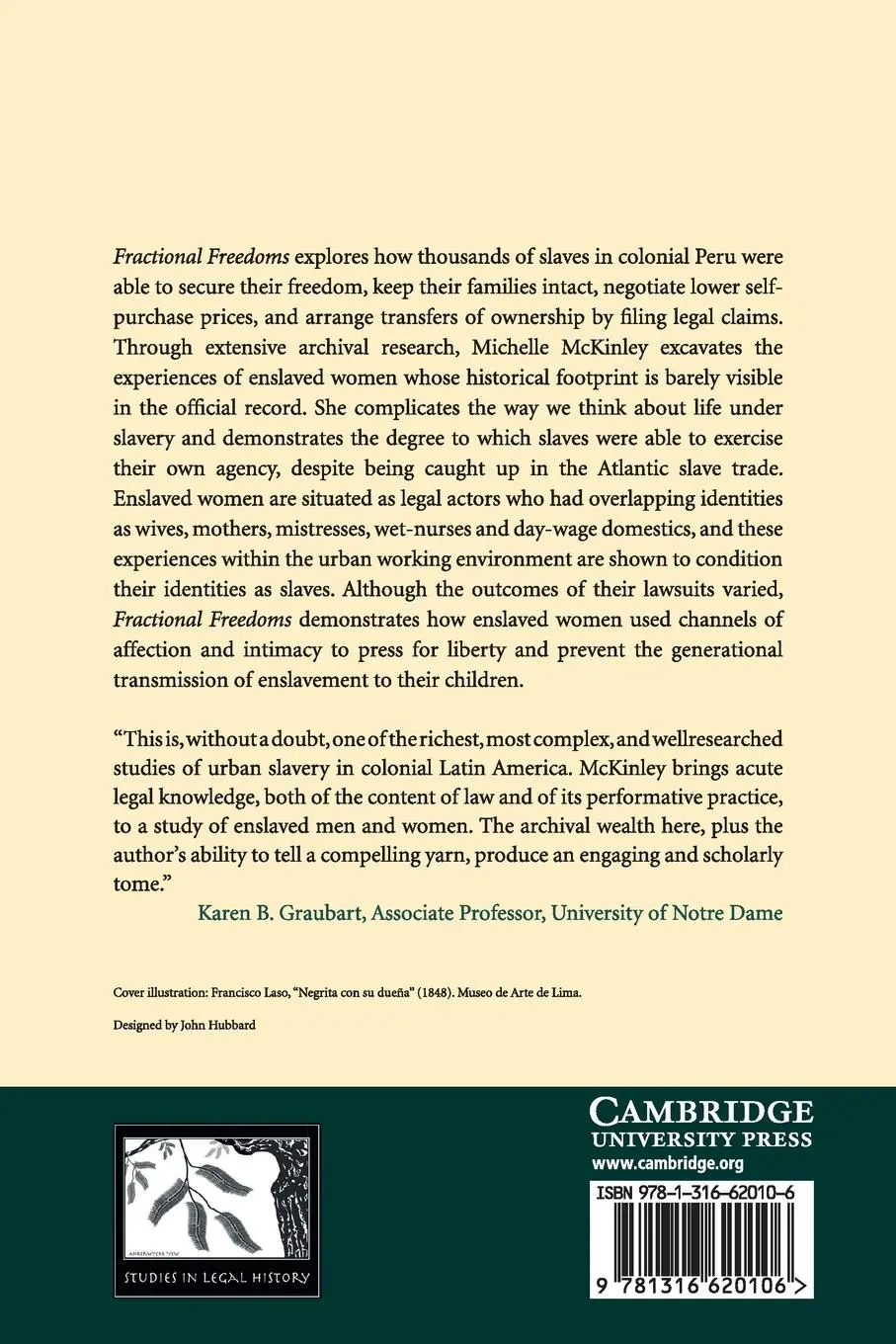 Rückseite: 9781316620106 | Fractional Freedoms | Michelle A. Mckinley | Taschenbuch | Englisch