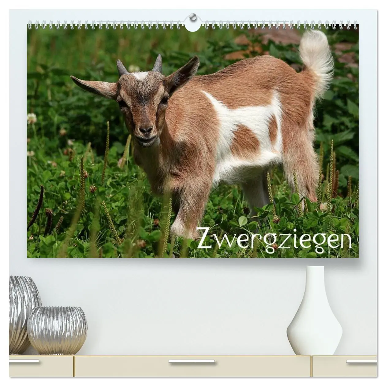 Cover: 9783516190106 | Zwergziegen (hochwertiger Premium Wandkalender 2026 DIN A2 quer),...