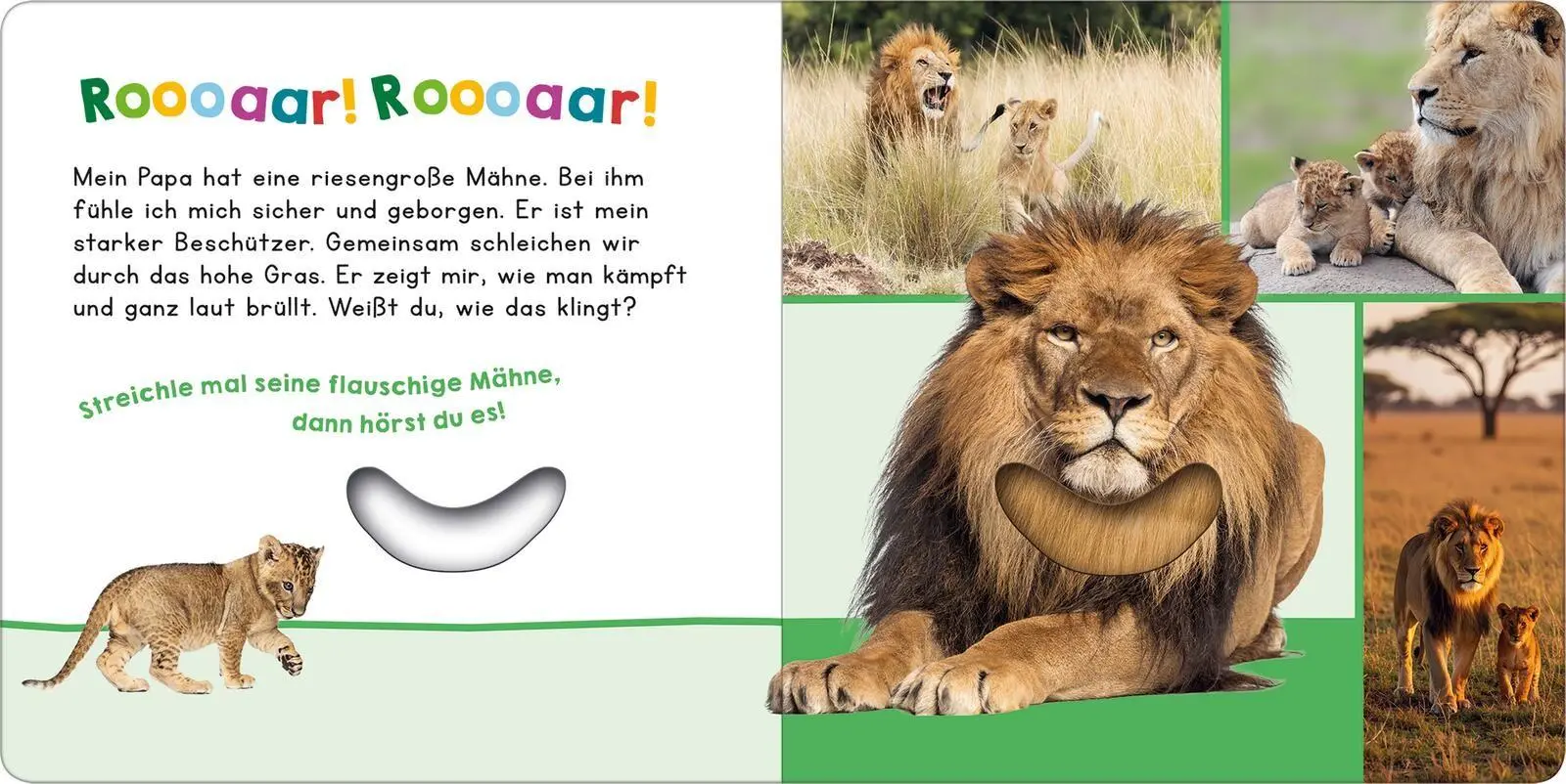 Bild: 9783845870106 | Hör mal rein, wer kann das sein? - Mein Papa | Streicheln und hören