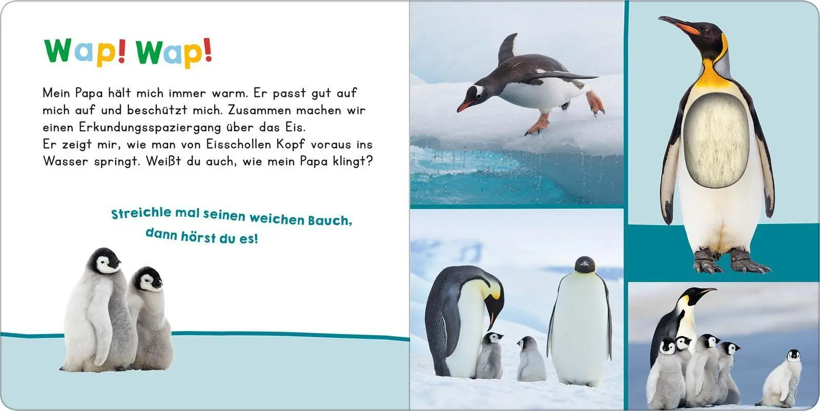 Bild: 9783845870106 | Hör mal rein, wer kann das sein? - Mein Papa | Streicheln und hören