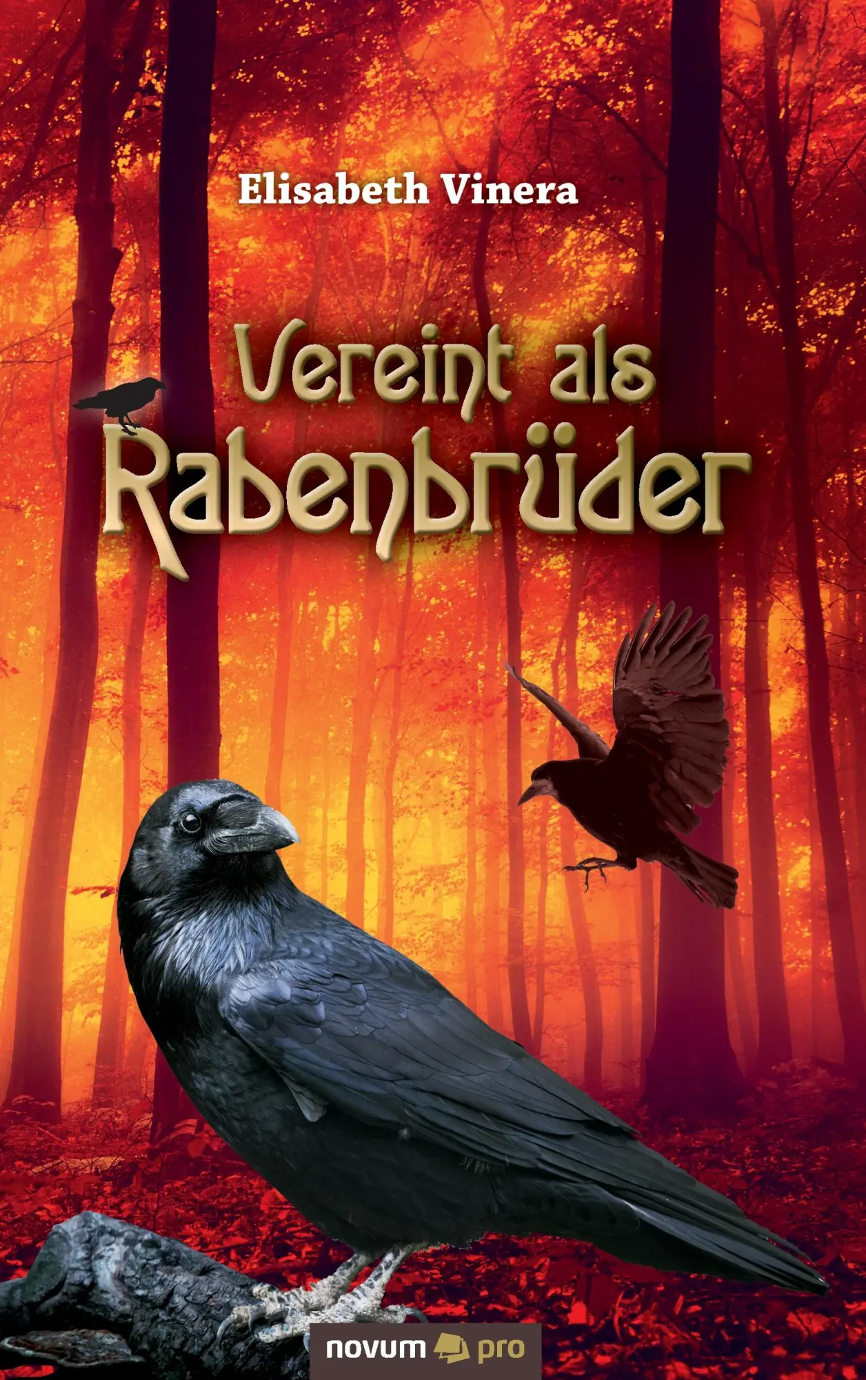 Cover: 9783990480106 | Vereint als Rabenbrüder | Elisabeth Vinera | Taschenbuch | 214 S.