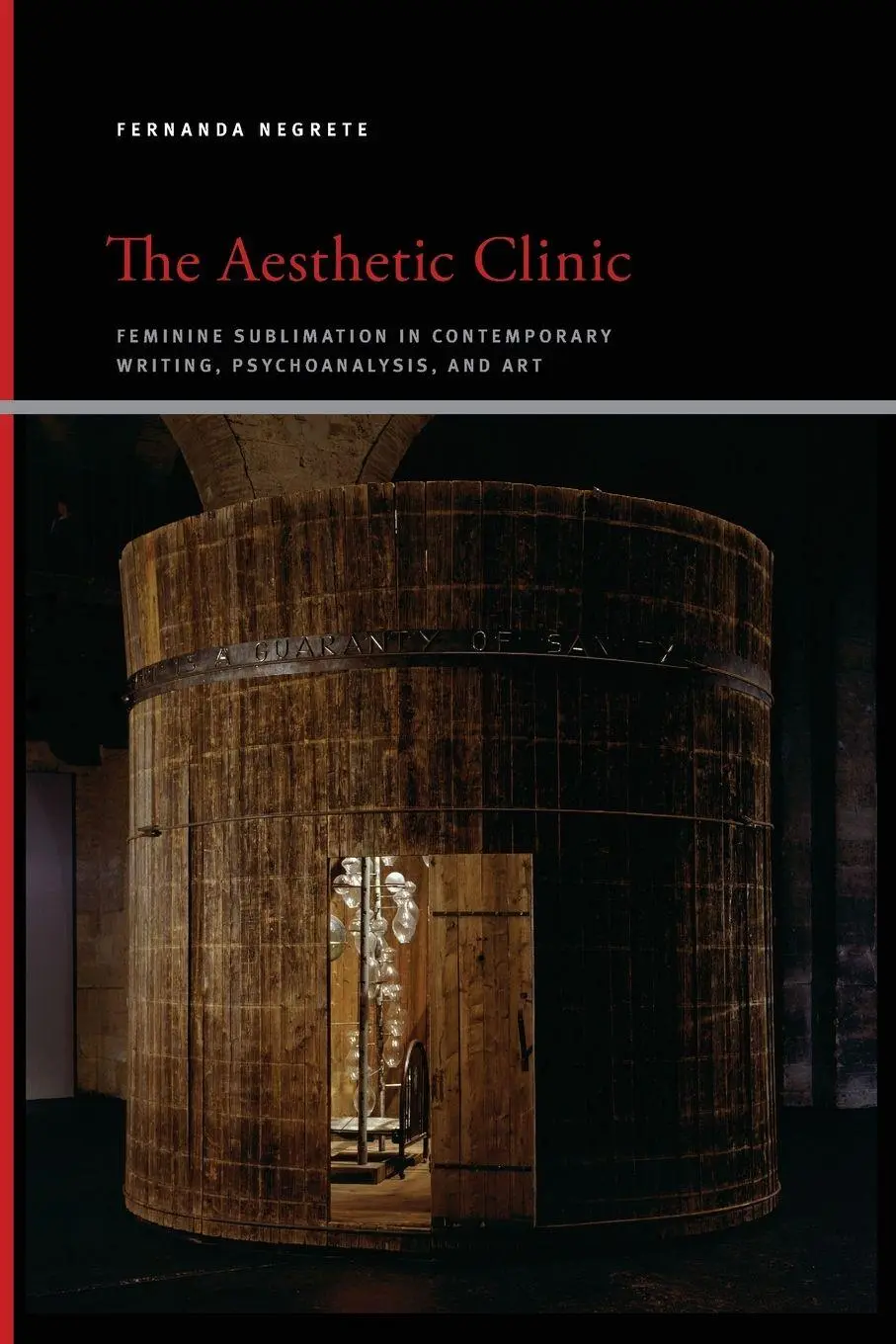 Cover: 9781438480206 | The Aesthetic Clinic | Fernanda Negrete | Taschenbuch | Englisch