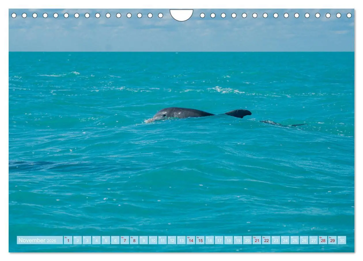 Bild: 9783457610206 | Mexiko - Die wunderschöne Halbinsel Yucatán Fotokalender 2026...