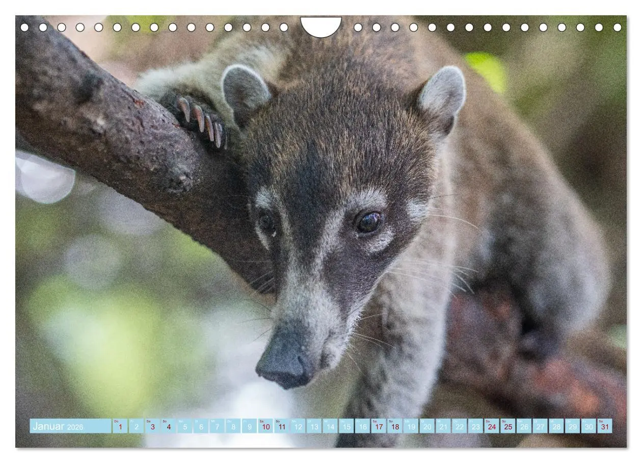 Bild: 9783457610206 | Mexiko - Die wunderschöne Halbinsel Yucatán Fotokalender 2026...