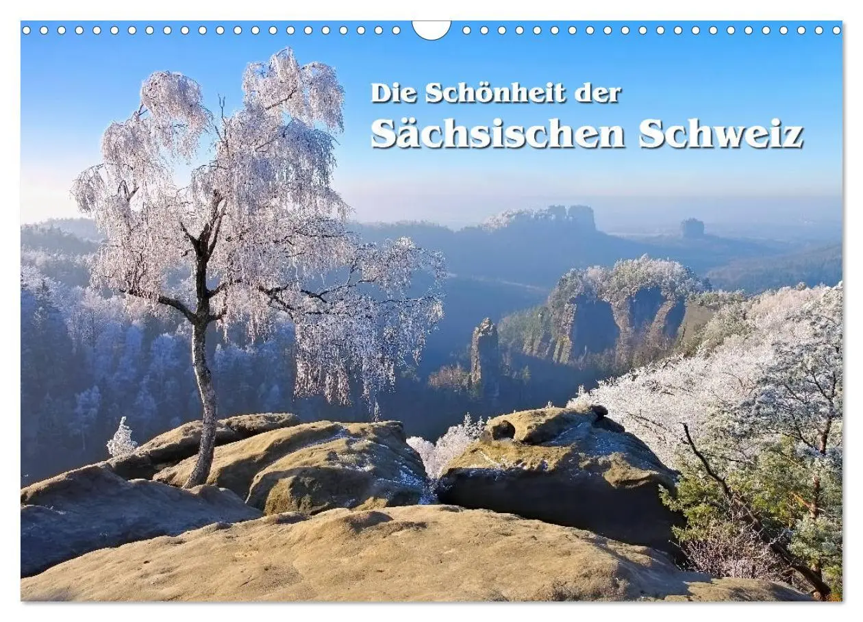 Cover: 9783457780206 | Die Schönheit der Sächsischen Schweiz (Wandkalender 2026 DIN A3...