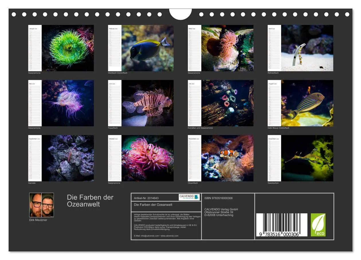 Bild: 9783516000306 | Die Farben der Ozeanwelt (Wandkalender 2026 DIN A4 quer), CALVENDO...