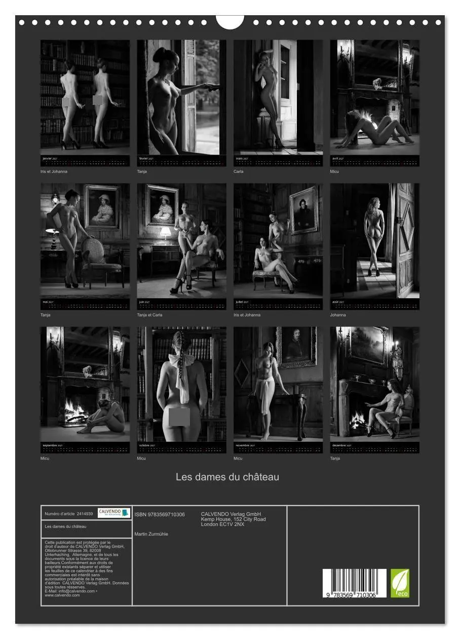 Bild: 9783569710306 | Les dames du château (Calendrier mural 2027 DIN A3 horizontal),...