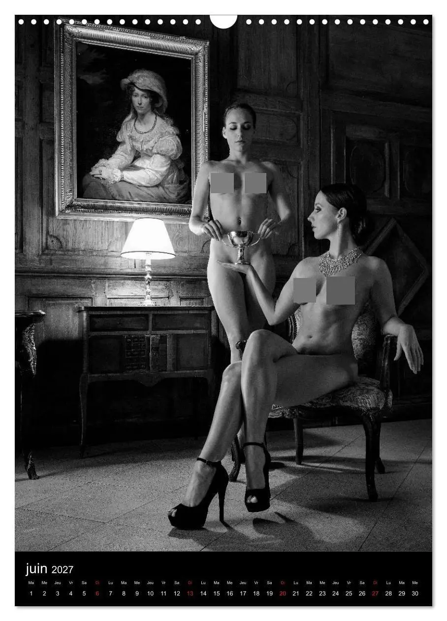 Bild: 9783569710306 | Les dames du château (Calendrier mural 2027 DIN A3 horizontal),...