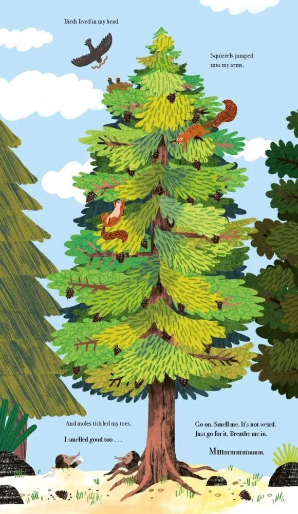 Bild: 9781805130406 | Once I Was a Tree | Eoin McLaughlin | Buch | Englisch | 2025