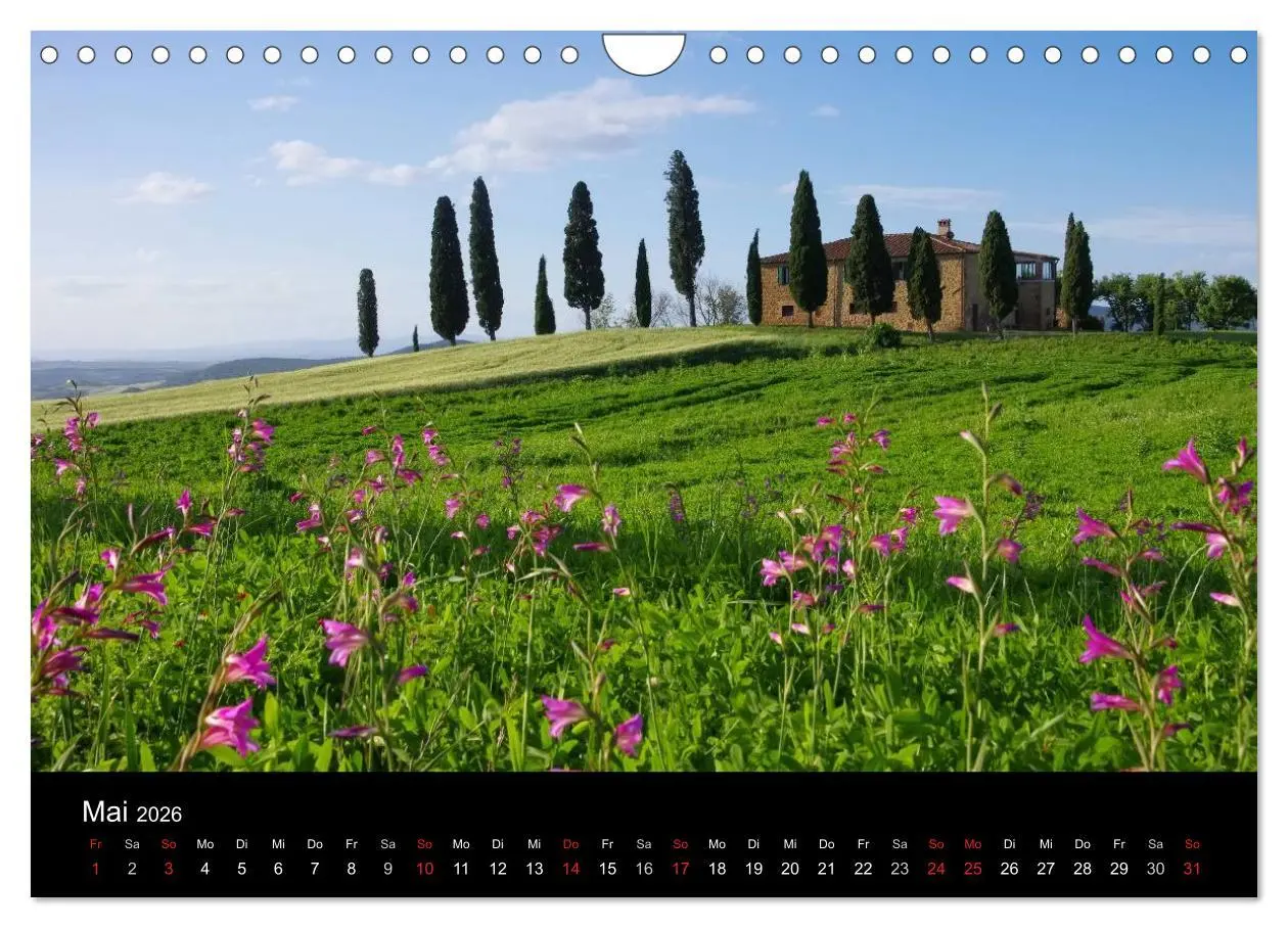 Bild: 9783516160406 | Toskana - Traumlandschaft in Italien (Wandkalender 2026 DIN A4...