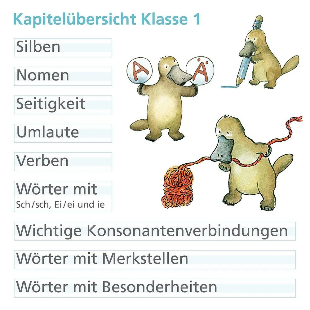 Bild: 9783619120406 | Rechtschreiben mit Rico Schnabel, Klasse 1 | Drecktrah (u. a.) | 64 S.